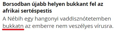 bukkatn.jpg