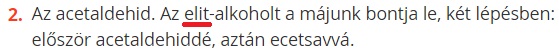 elit.jpg