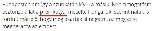 preirikutya.jpg