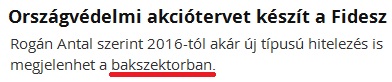 bakszektor.jpg
