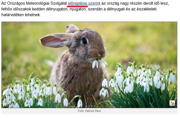 előrejelés.jpg