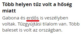 erdos.jpg
