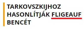 fligeauf.jpg