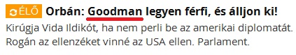 goodman.jpg