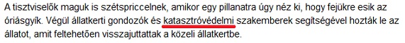 katasztróvédelmi.jpg