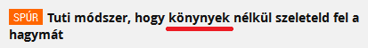konynyek.bmp