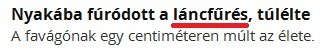 láncfűrés.jpg