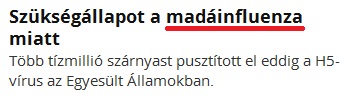 madainfluenza.JPG
