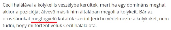 megfogyelo.jpg