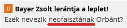 neofaiszta.JPG