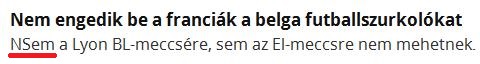 nsem.JPG