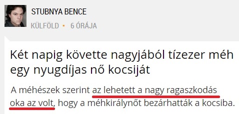 ragaszkodas.jpg