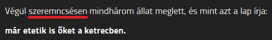 szeremncsesen.jpg