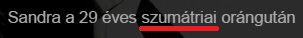 szumatria.jpg