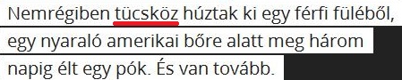 tücsköz.JPG