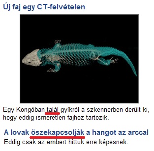 talál.jpg