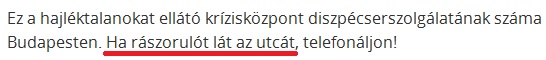 utcat.jpg