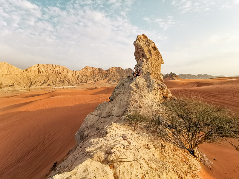 Private Desert Tours in Dubai