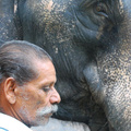 Elefántmenhely Indiában