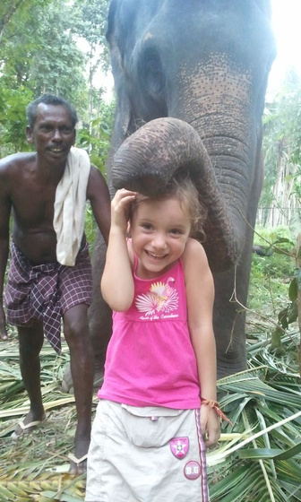 IndiaPass: Indiai elefánt