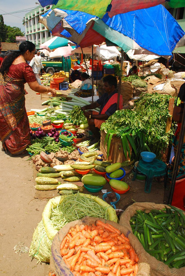 IndiaPass: Indiai piac