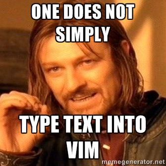 Eddard Startk Vim mém: One does not simply type text into Vim