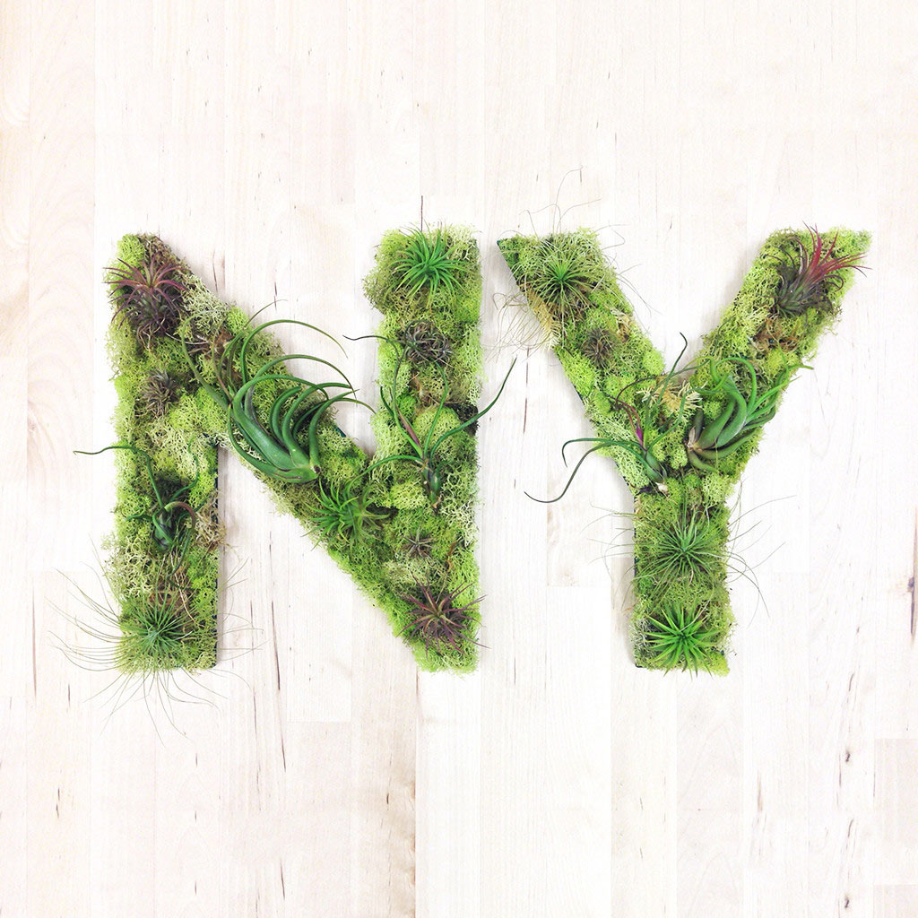 NYC-plant-art-living-wall-planter.jpg