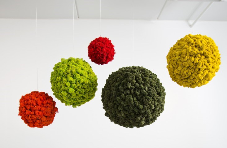 Polar-Moss-Spheres-Gardenista_1.jpg