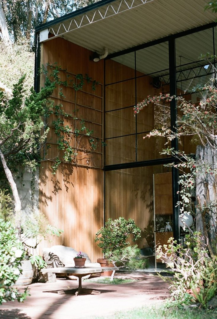 eames-house-la-garden-view-gardenista.jpg