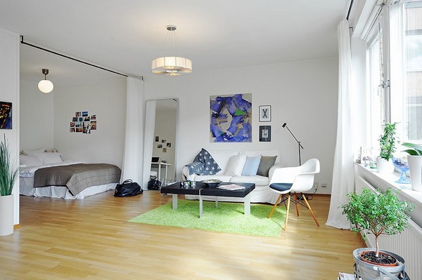 one-room-apartment-scandinavian.jpg