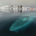 Elsüllyedt hajó az Antarktisznál