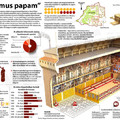 Magyar portfólió a VisualLoopon