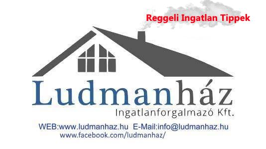 ludmanhaz_rip.jpg