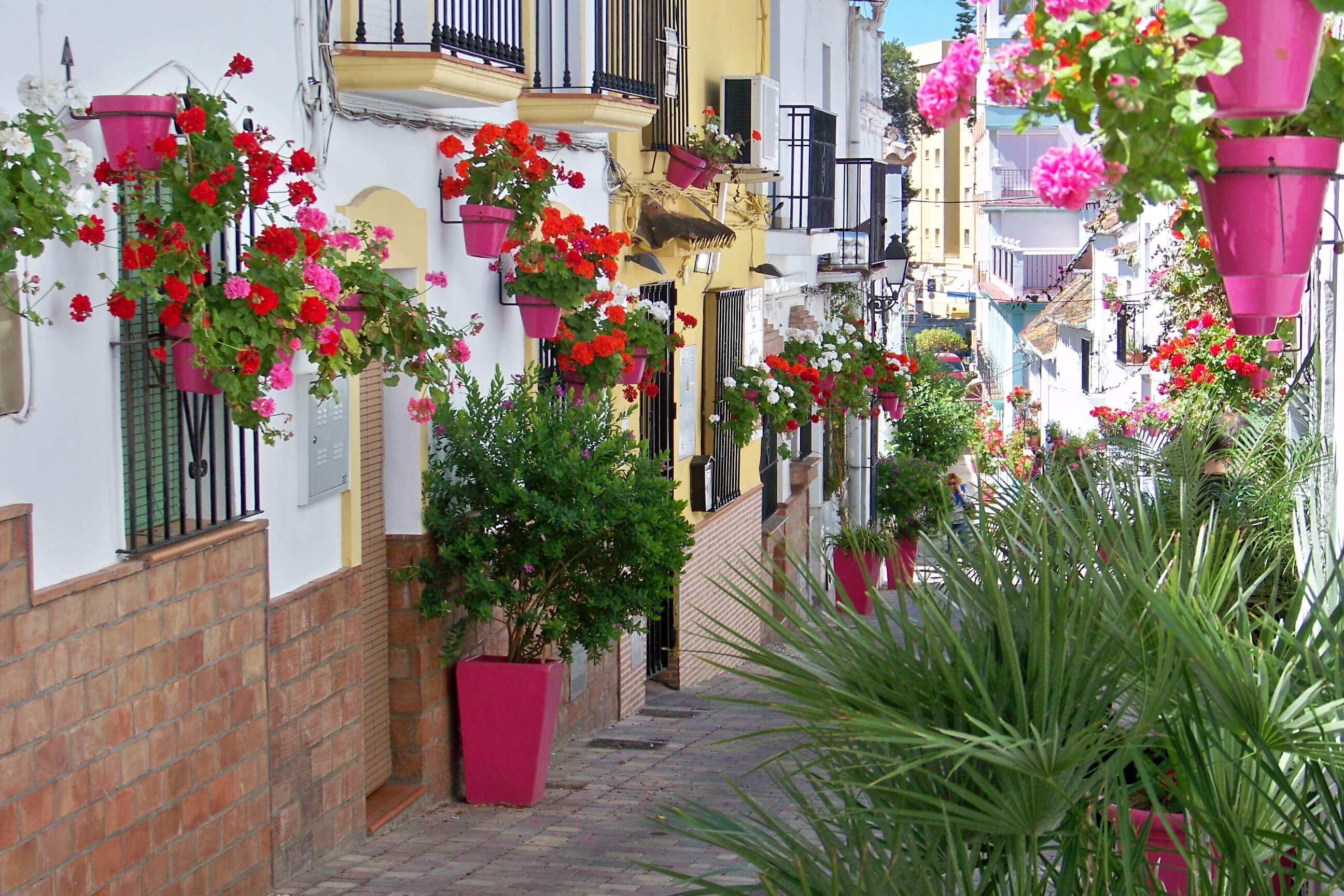 portada-estepona-spain.jpg