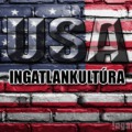 Ingatlankultúra, amiben az USA köröket ver ránk!