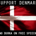 we support denmark