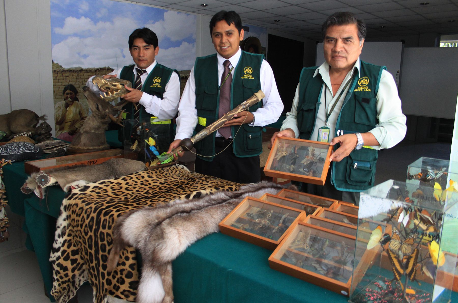 illegal_wildlife1245.jpg