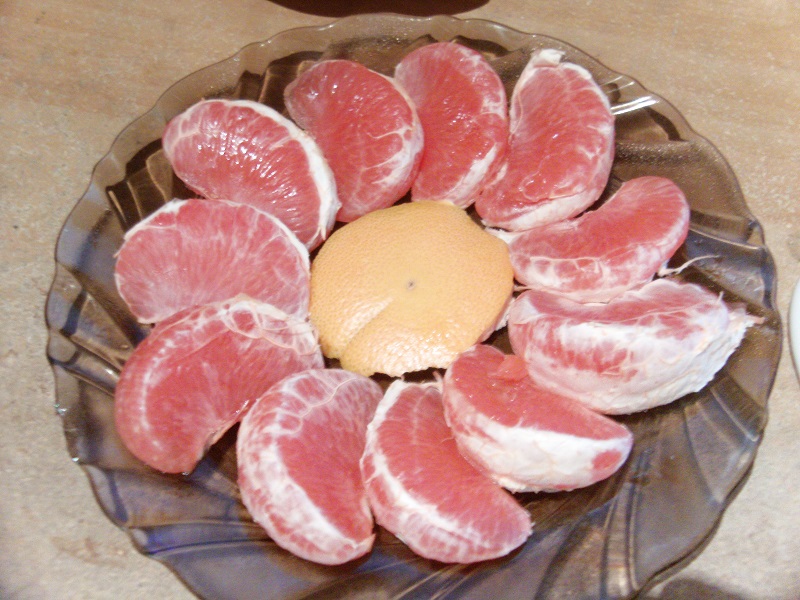 IMAG0337.JPG