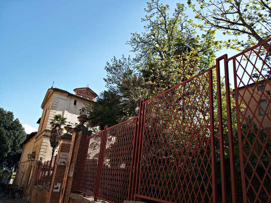 Utam az iskolába. Az Orto Botanico kerítése mellett.