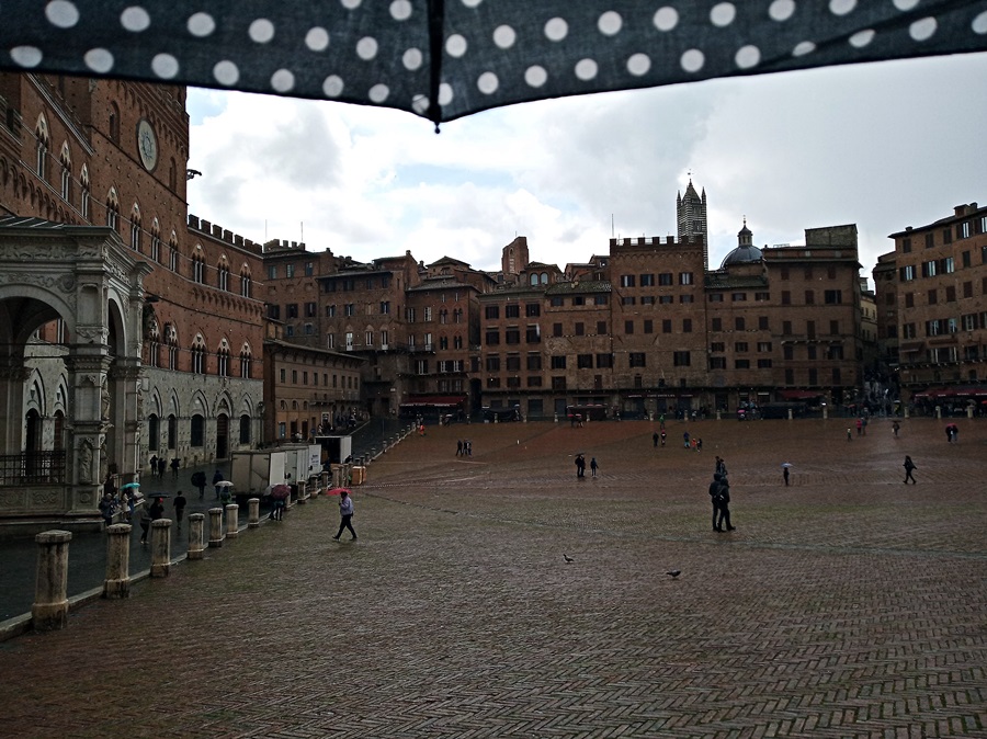img_20190411_142411.jpg