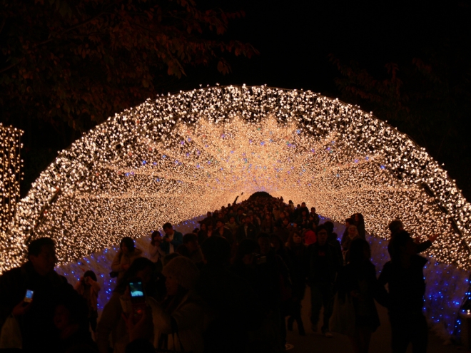 Winter Illuminations 1