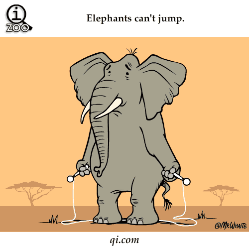 elephants-cant-jump-science-facts-animated-gifs.gif