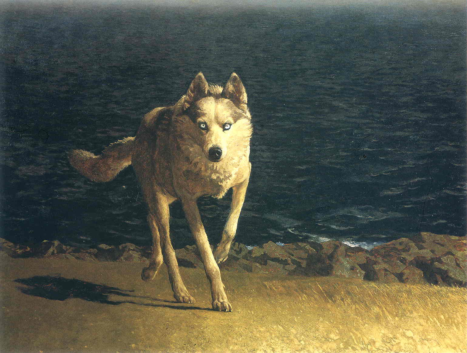 wolf-dog-1976.jpg