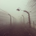 Auschwitz Instagramon