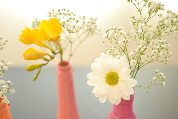 flores en botellas.jpg