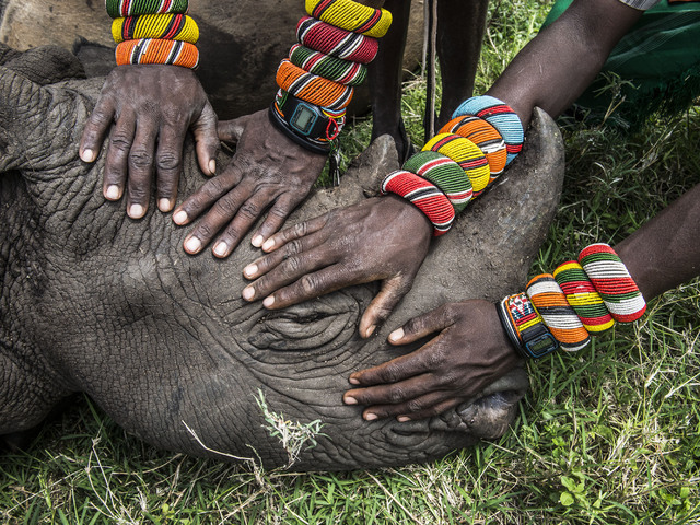 World Press Photo 2015