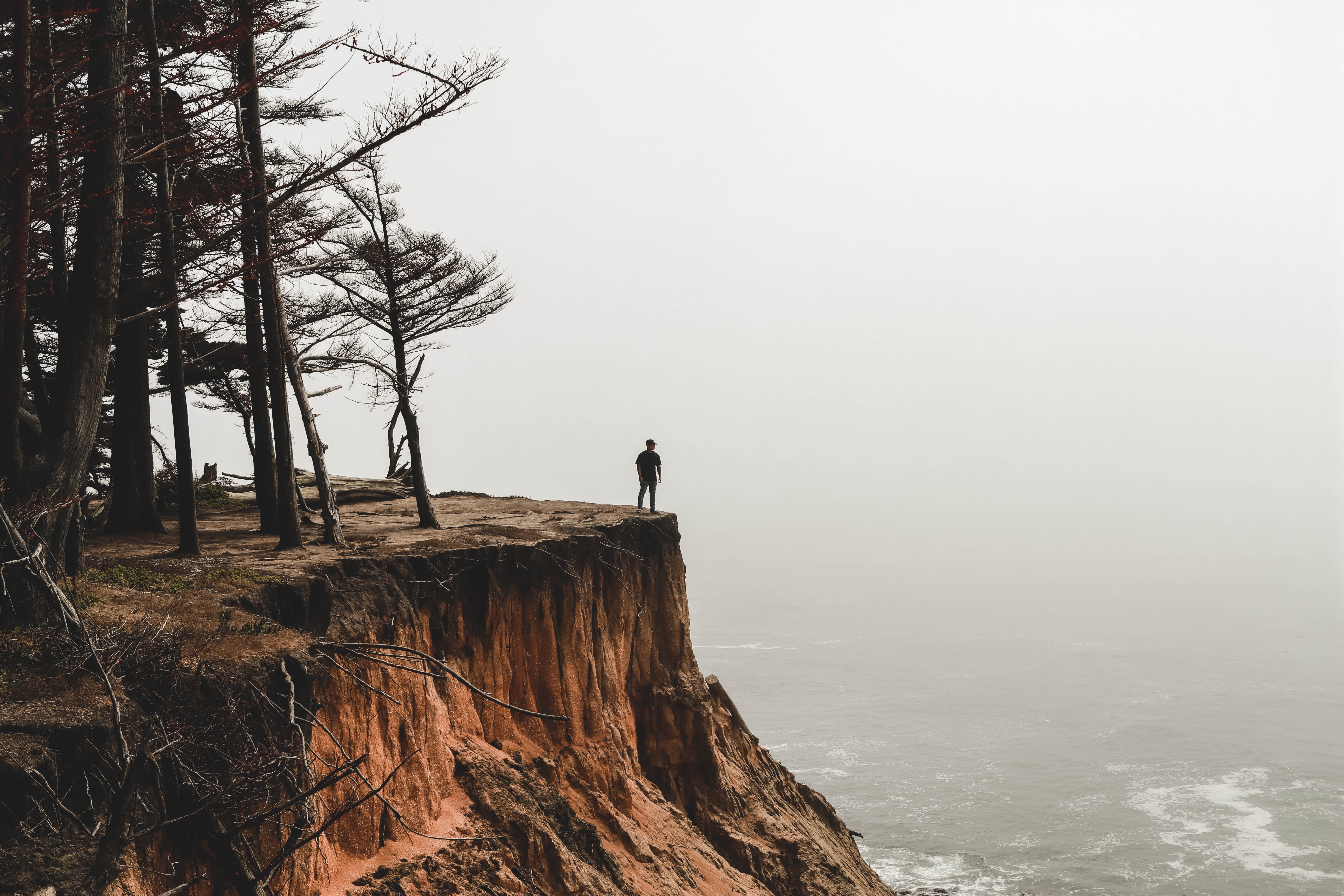 alan-tang-664138-unsplash.jpg