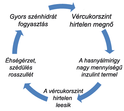 vercukorinzulin.jpg