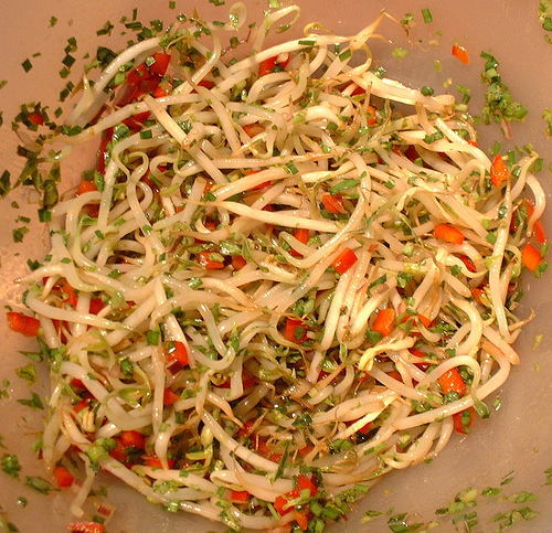 beansprouts.jpg