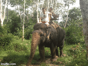 aonang_1.gif